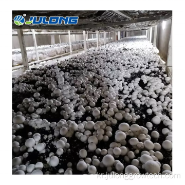 40 피트 운송 컨테이너 온실 버섯 농장 판매